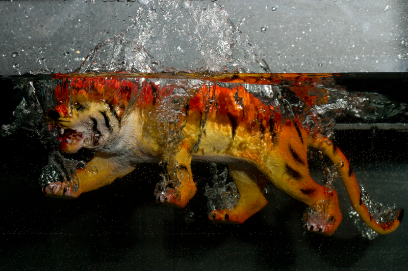 Illustration for article titled Shooting Challenge Gallery: Plunge II